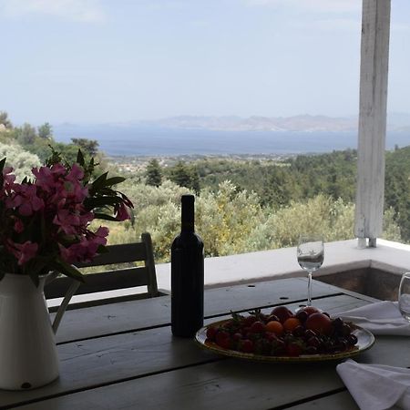 Villa Παραδοσιακό Σπίτι à Asfendiou Extérieur photo